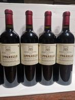 2015 , 2016 x2, 2017, 2018 x2, 2019 x2 Isole e Olena, Nieuw