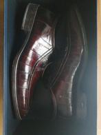 Alberto Guardiani - Veterschoenen - Maat: EU 42.5