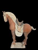 Oud Chinees, Tang-dynastie Terracotta Groot paard met QED