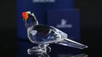 Figure - Swarovski Kristal - Papegaai (Boxed + certificate)