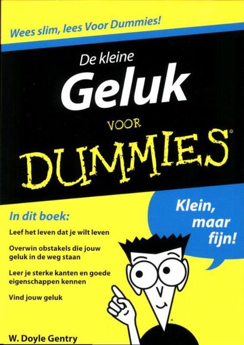 De kleine Geluk voor Dummies / Voor Dummies 9789043023412, Boeken, Psychologie, Gelezen, Verzenden
