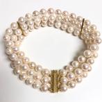 Sans prix de réserve - Bracelet - 18 carats Or jaune Perle