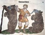 Conrad Gesner [1516-1565], Konrad Gessner - Two Bears with, Antiek en Kunst