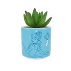 Assepoester Magic Begins Within Plant Pot Cinderella, Ophalen of Verzenden, Nieuw