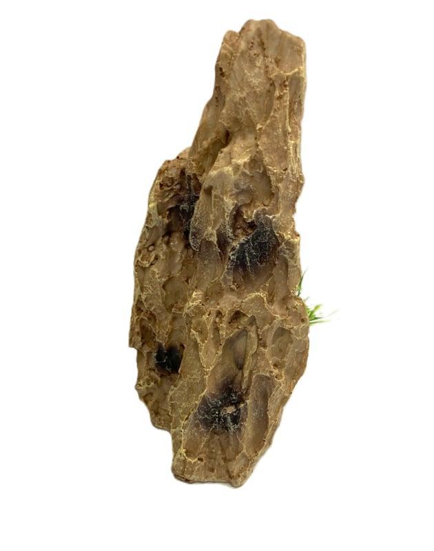 Dragonstone  / Aquarium decoratie As-137 (Hardscaping), Dieren en Toebehoren, Vissen | Aquaria en Toebehoren, Gevuld zeewateraquarium