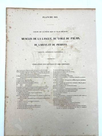 Lesmateriaal - Nicolas-Henri Jacob & Jean Baptiste Marc