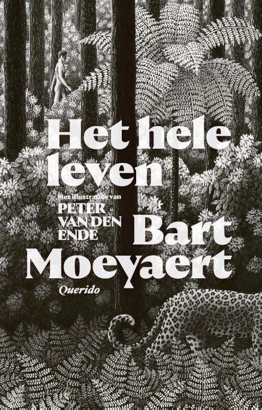 Het hele leven 9789021422190 Bart Moeyaert, Boeken, Romans, Zo goed als nieuw, Verzenden