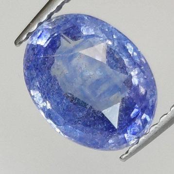 Blauw Saffier - 2.45 ct - Antwerp Laboratory for Gemstone beschikbaar voor biedingen