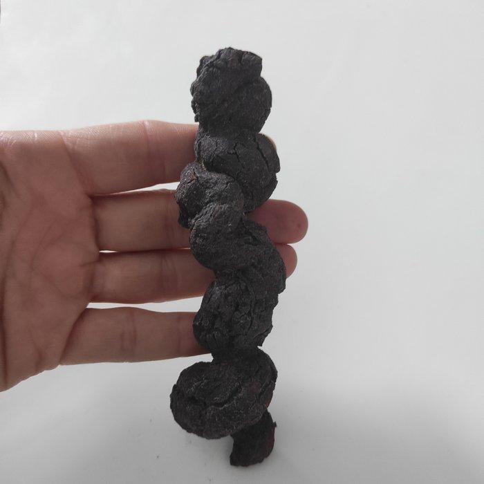 coprolithe fossile - Hauteur : 3 cm - Largeur : 3 cm- 90 g -, Verzamelen, Mineralen en Fossielen
