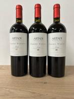 2004 Artadi, Pagos Viejos - Rioja - 3 Flessen (0.75 liter)