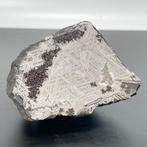 Sint-Aubin Beroemde meteoriet Franse, Cohenita - 1.03 kg