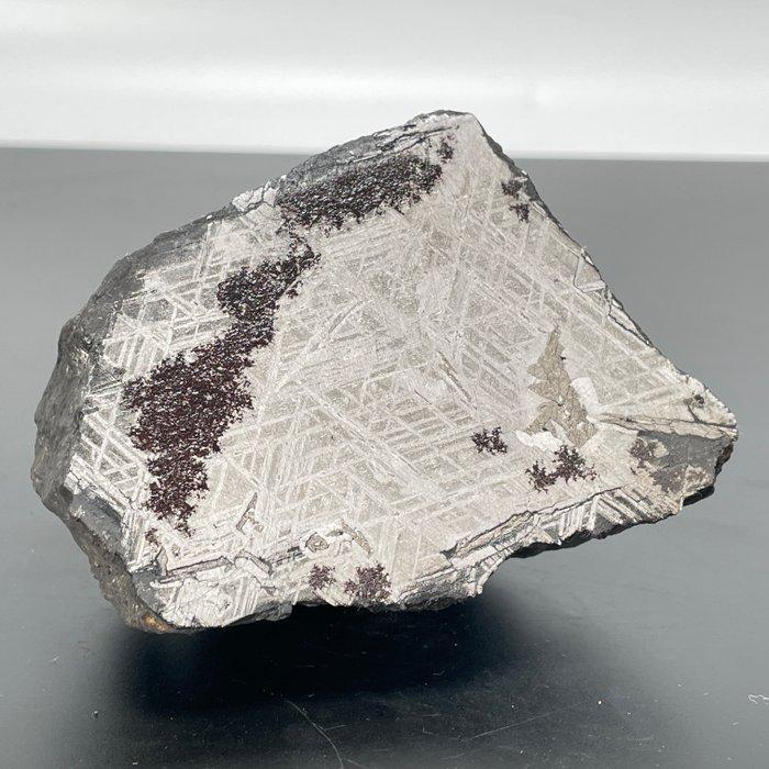 Sint-Aubin Beroemde meteoriet Franse, Cohenita - 1.03 kg, Verzamelen, Mineralen en Fossielen