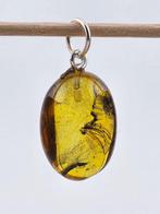 Verzamelaars BALTIC AMBER Hanger – Mysterieuze Insect, Antiek en Kunst