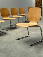 Kusch & Co. - Chaise (6) - Acier, Hêtre - Chaise cantilever