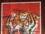 Mauro Colizzi - Arti Graf. FIORIN, Milano, Italy - Tijger -, Antiek en Kunst