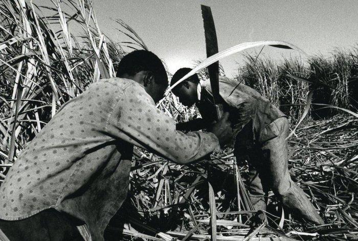 Ivo Saglietti (1948-2023) - Repubblica Domenicana,, Antiek en Kunst, Kunst | Designobjecten