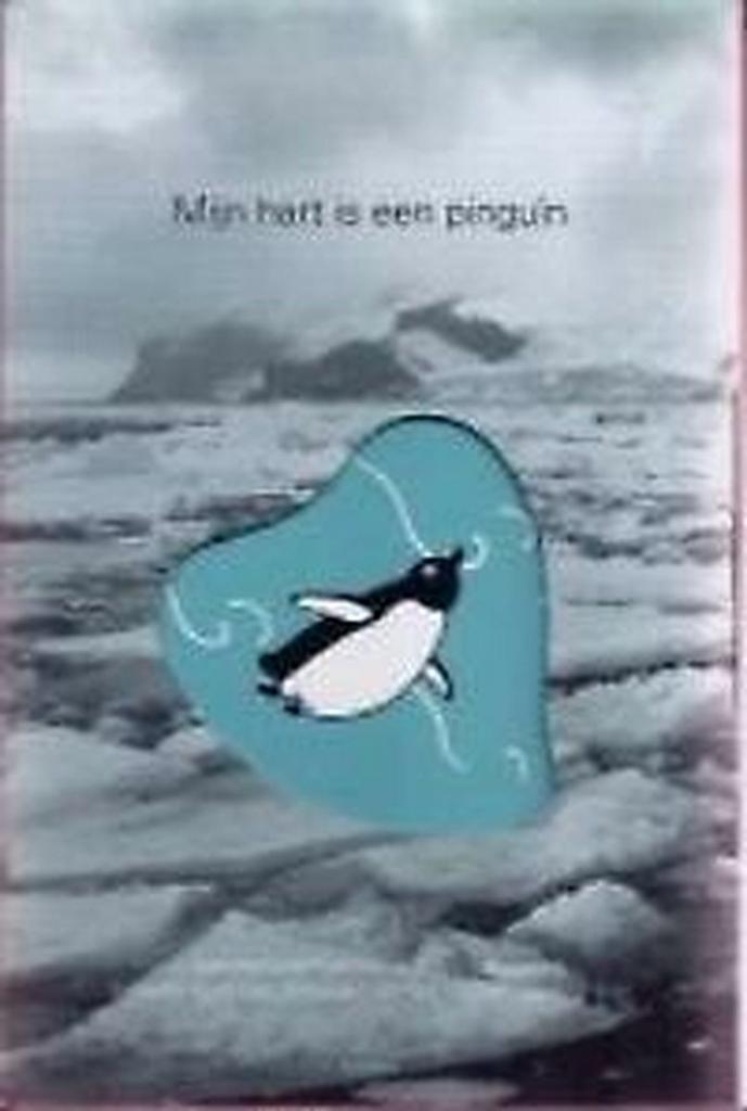 Mijn hart is een pinguin 9789080541726 C. Sakazaki, Boeken, Kinderboeken | Jeugd | 13 jaar en ouder, Gelezen, Verzenden