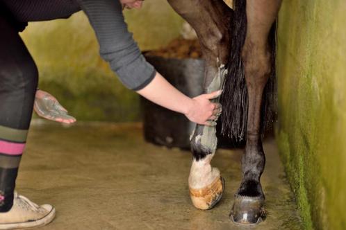 Horse Leg Cleaner 500 ml, Dieren en Toebehoren, Paarden en Pony's | Verzorgingsproducten, Ophalen of Verzenden