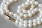 Other brand - Halsketting Japanse zee/zoutwater Akoya Parel, Handtassen en Accessoires, Nieuw