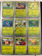 Pokémon - 1 Complete Set, Nieuw