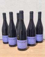2023 Sylvain Pataille - Bourgogne - 6 Bouteilles (0,75 L), Nieuw