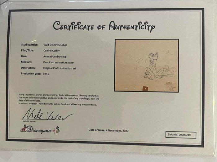 Walt Disney - Animation Drawing - 1 Originele kunst - Walt, Collections, Disney