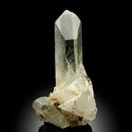 Quartz déterminé par lHimalaya impeccable Groupe de cristal