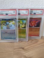 Pokémon - 3 Graded card - PSA 9 - Promo - Squirtle &, Hobby en Vrije tijd, Verzamelkaartspellen | Pokémon, Nieuw