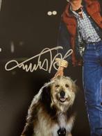 Back to the Future - Part II - Signed by Michael J. Fox, Verzamelen, Nieuw