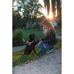 Harnais norvégien pour chien réfléchissant, 20mmx80-100cm, Nieuw