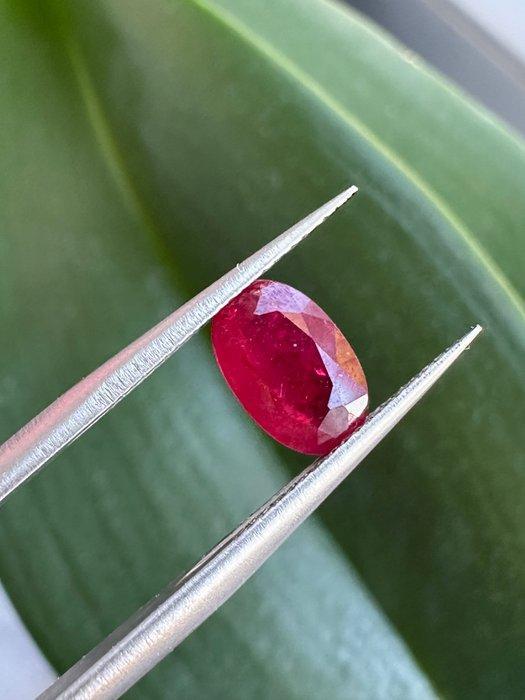 Rubis Vraie gemme ! Rubis sang-de-pigeon transparent,, Verzamelen, Mineralen en Fossielen