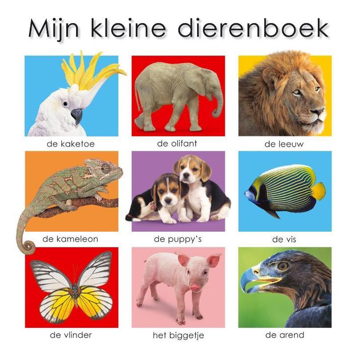 Mijn kleine dierenboek 9789047501138 Jo Rigg, Boeken, Kinderboeken | Baby's en Peuters, Gelezen, Verzenden
