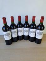 2022 Croix Canon - Bordeaux, Saint-Émilion Grand Cru - 6, Verzamelen, Wijnen, Nieuw
