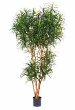 Kunstplant Dracaena Reflexa 150 cm, Verzenden