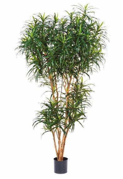 Kunstplant Dracaena Reflexa 150 cm, Maison & Meubles, Plantes d'intérieur, Envoi