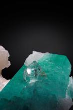 Smaragd (Museumkwaliteit) Kristal op matrix - Hoogte: 77 mm, Verzamelen