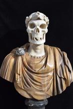 Sculpture, Busto di Vanitas - 75 cm - Marbre