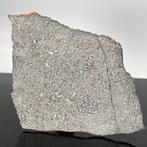 Eucrita van VESTA Asteroïde XXL!!!! NWA 13940, met