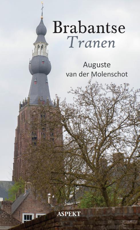 Brabantse tranen 9789463382595, Boeken, Literatuur, Gelezen, Verzenden
