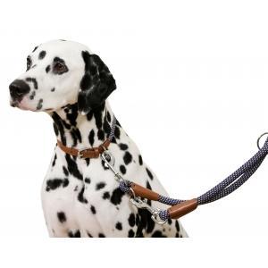 Halsband phoenix, bruin/blauw, 14 mm / 45-65 cm - kerbl, Animaux & Accessoires, Accessoires pour chiens