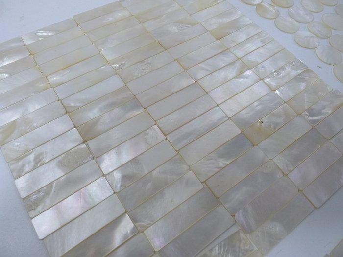 195 jetons de jeu de poker en nacre etat neuf 195 poker, Antiek en Kunst, Curiosa en Brocante