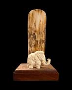 Wolharige mammoet Slagtand - Mammoet Beeld. Gemaakt Van, Nieuw