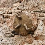 Didier Fournier - Course (10)