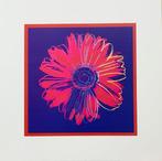 Andy Warhol (after) - Daisy, 1982 - Artprint - 50,6 x 50,6