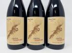 2019 Ostia Tempore Willamette Valley Pinot Noir - Oregon - 3, Nieuw