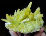 Yellow Phosphate - kristalcluster - citriengele kristallen, Verzamelen, Mineralen en Fossielen