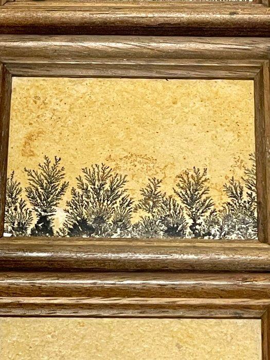 Dendrietsteen - Gefossiliseerde plant - 6.5 cm - 8 cm, Antiek en Kunst, Curiosa en Brocante