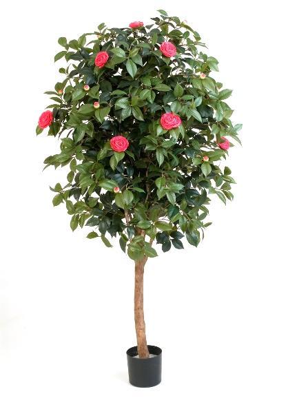 Kunstplant Camelia Roze 170 cm, Maison & Meubles, Plantes d'intérieur, Envoi
