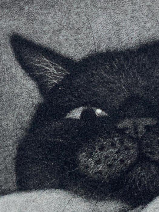 Lock eyes - Signed and numbered by the artist 49/50 - NO, Antiek en Kunst, Antiek | Overige Antiek
