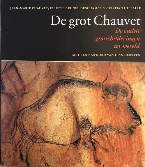 Grot Chauvet 9789062243969, Livres, Histoire mondiale, Envoi